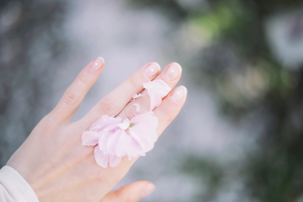 花びらをのせた、ていねいにケアされた手